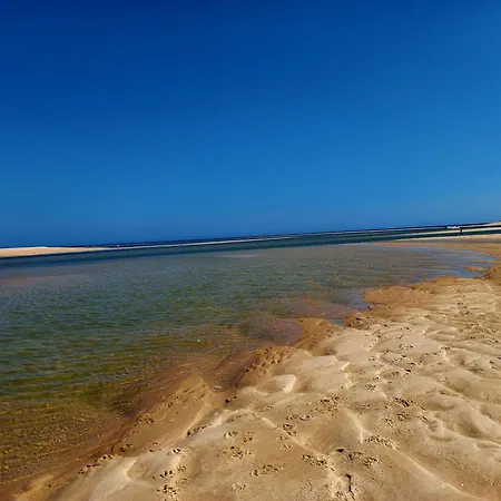 Kuka * ルース・デ・タビラ