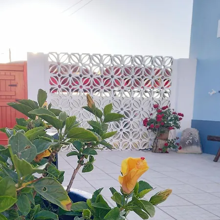 Kuka ルース・デ・タビラ