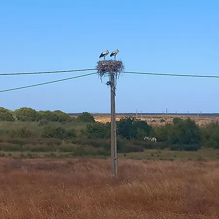 別荘 Kuka ルース・デ・タビラ
