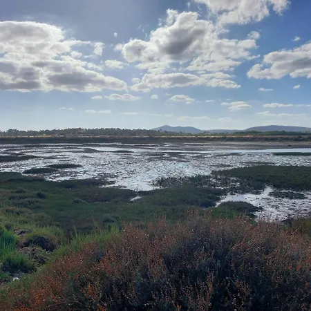 Kuka * ルース・デ・タビラ