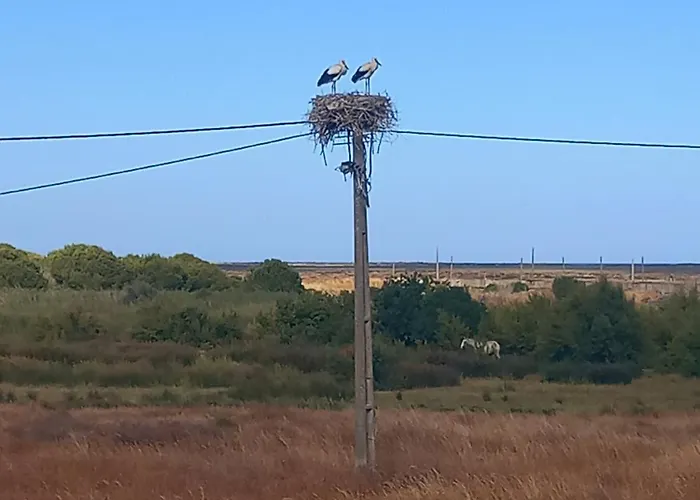 Ferienhaus Kuka Luz de Tavira